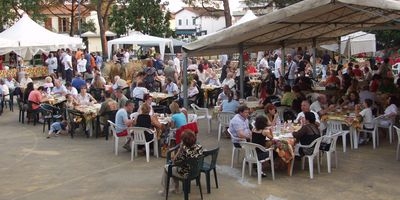 Guter Besuch beim Bierfest - Fotos: Werner Haubenhofer